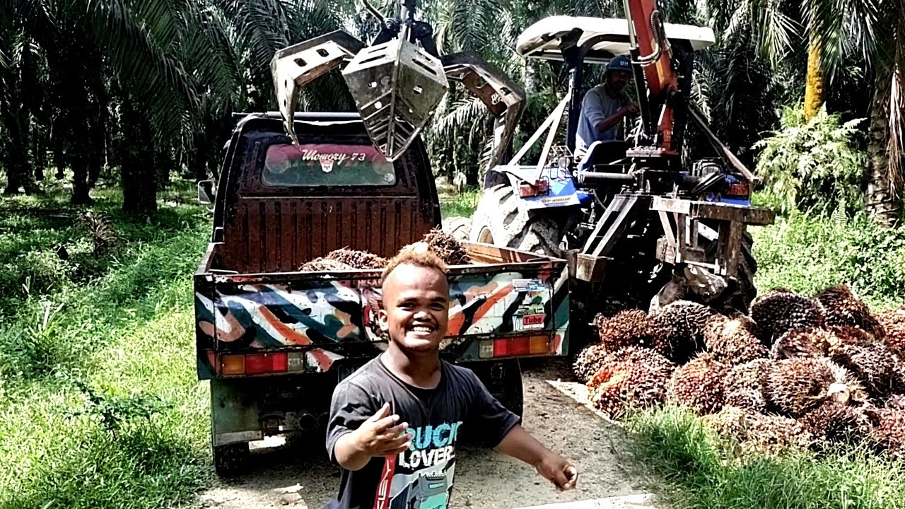 Bahagianya Dodot DPT JOP ikut langsir Sawit.