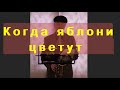 КОГДА ЯБЛОНИ ЦВЕТУТ - Ляпис Трубецкой (САКСОФОН)