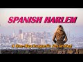 Spanish Harlem (cover)【A One-Man-Acappella Recording】