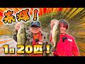 【バス釣り】1日で20匹！大分・芹川で春爆バスフィッシング！
