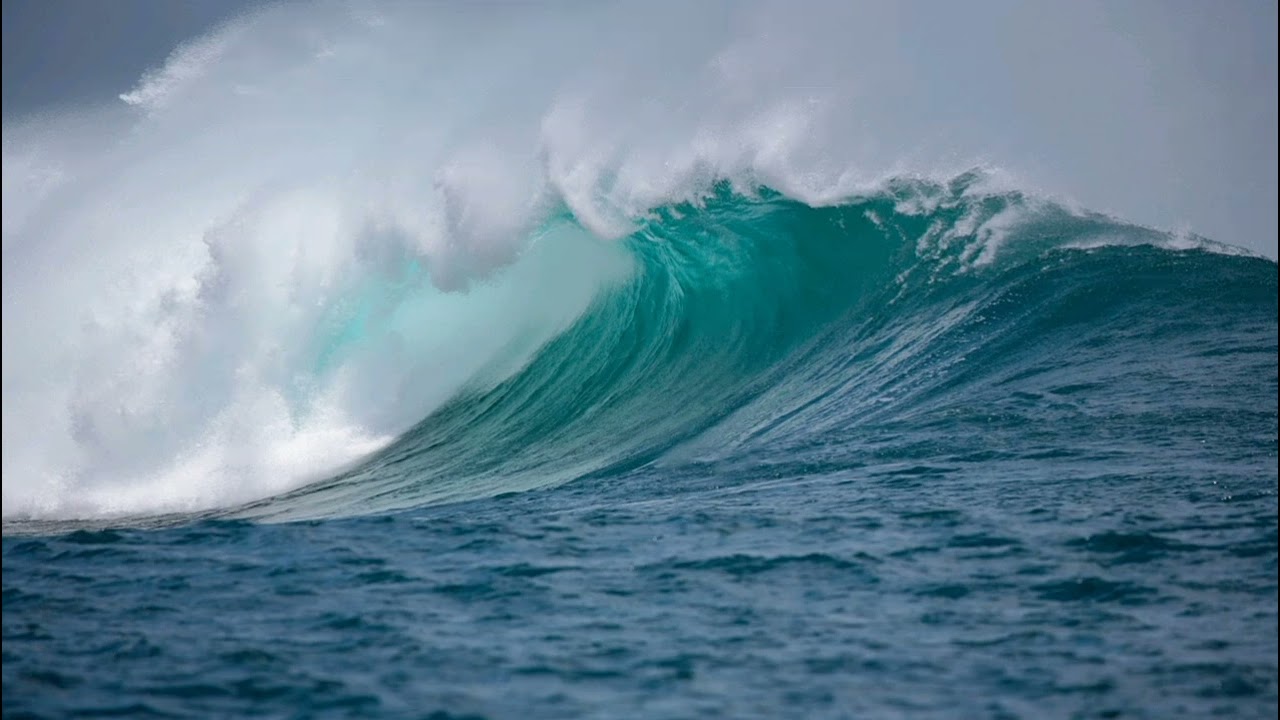 Tasty Waves - National Sweetheart