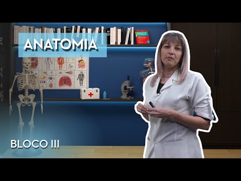 ANATOMIA - CURSO DE COMISSÁRIOS DE VOO (BLOCO III)