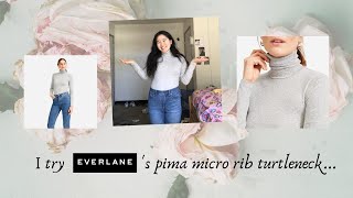Everlane Pima Micro Rib Turtleneck 