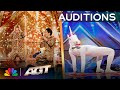 Schumacher S Audition Made The Judges Howl With Laughter AGT S Greatest Golden Buzzers 2025 Schumacher S Audition Made The Judges Howl With Laughter AGT S Greatest Golden Buzzers 2025