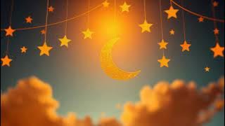 looped ca967502 2be9 47c7 b36e 7226a702471b