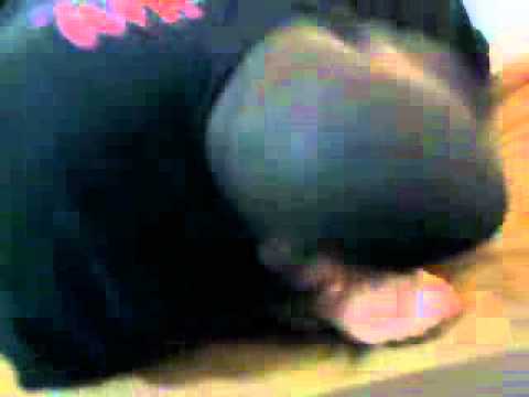 Video 19