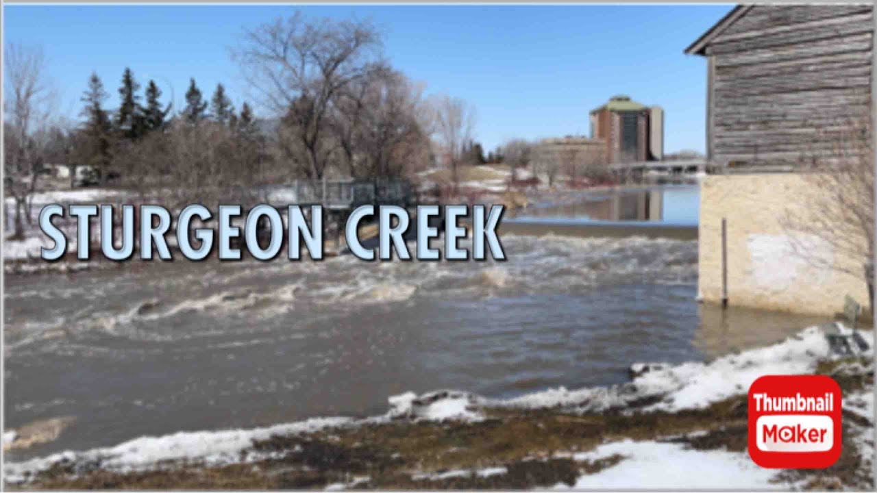 Exploring Sturgeon Creek Winnipeg Manitoba Canada Sandhu’s Family Vlogs YouTube