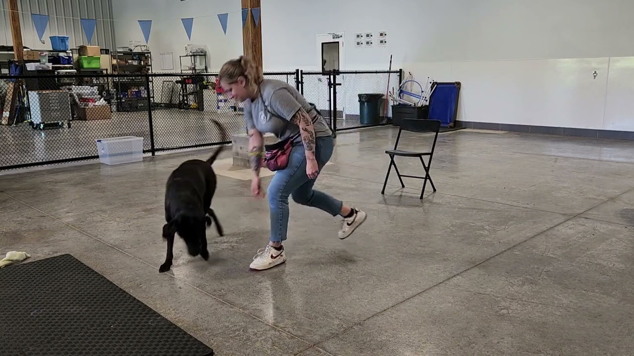 Sirius plays "Give Me a Break!"