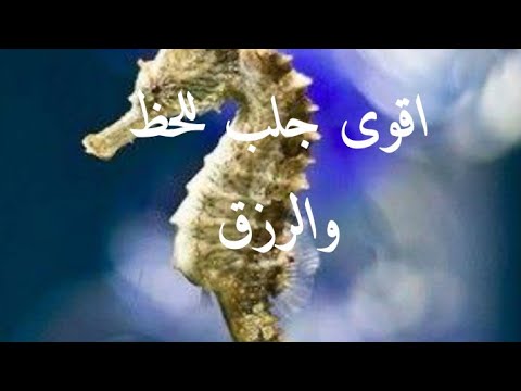 الحظ والسعد والرزق يجوك من كل مكان