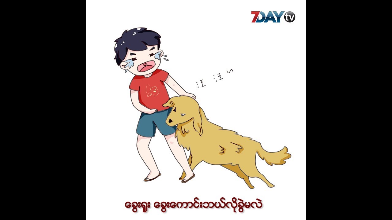 ခွေးရူး၊ခွေးကောင်း ဘယ်လိုခွဲမလဲ-Health Tips