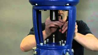 Goulds Water Technology E-Sv Seal Replacement Video