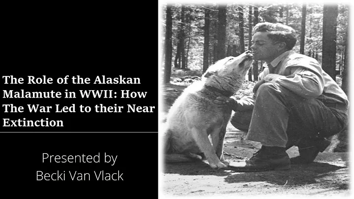 The Role of the Alaskan Malamute in WWII