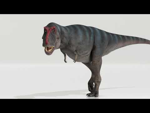 Animation of T.rex Walking According to Simulations