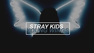 Stray Kids - Young Wings (Subtitulada en español) OT9.