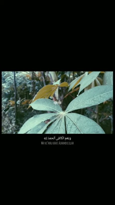 Story WA 20 Detik || Sholawat baper