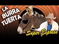 LA BURRA TUERTA - Super Express