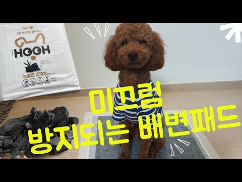논슬립매트가 필요없는 배변패드 / #빠른건조가되는배변패드 #탈취에효과있는배변패드 #논슬립배변패드