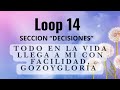 Loop 4 Mantra Access Seccion ''DECISIONES"