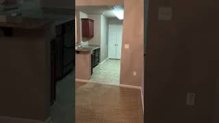 Belmere One Bedroom IMG 1064