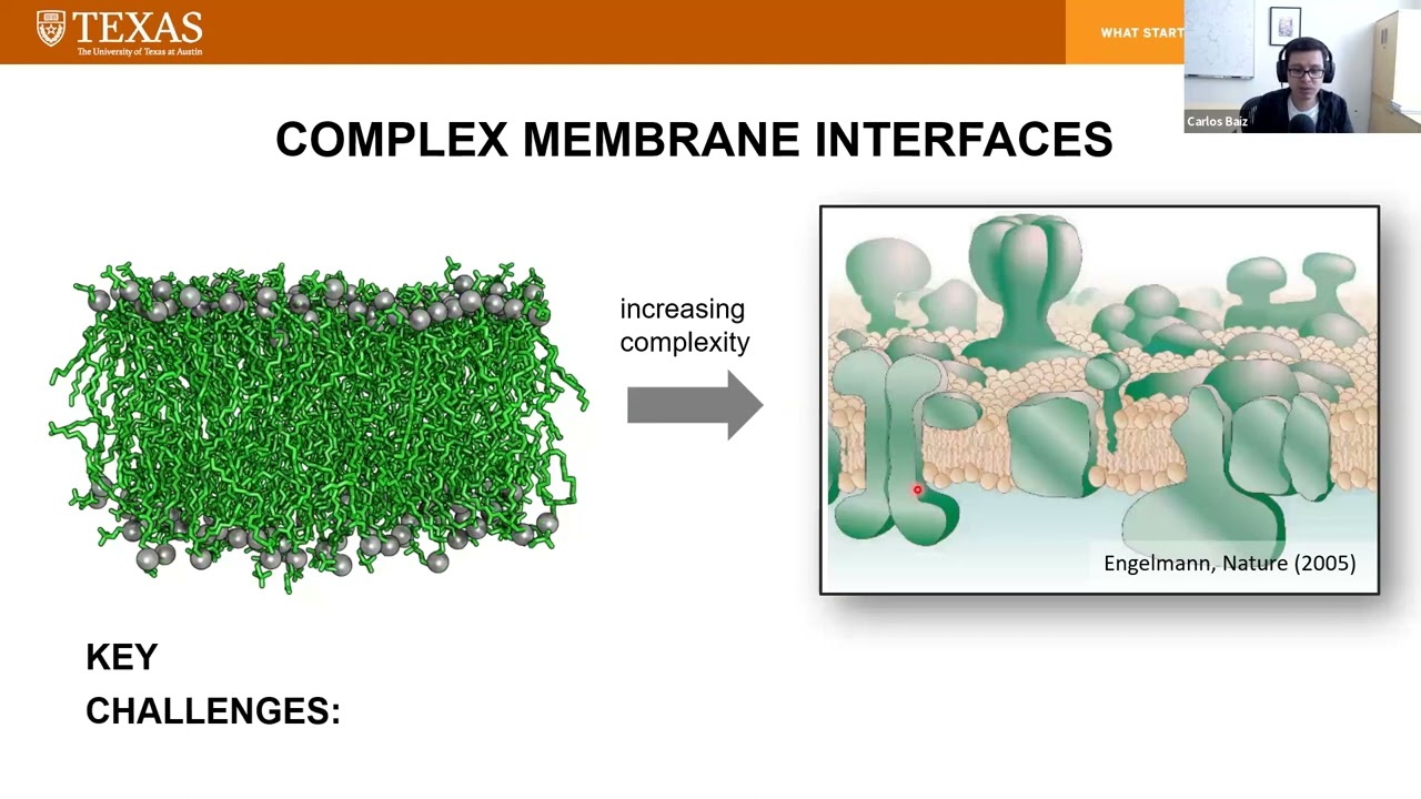 Build-a-Cell seminar Carlos Baiz: Interfacial environments in synthetic membranes