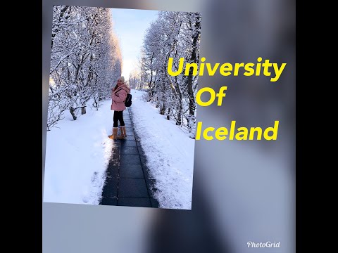 Video: Jinsi Iceland Inasherehekea Siku Ya Mabaharia