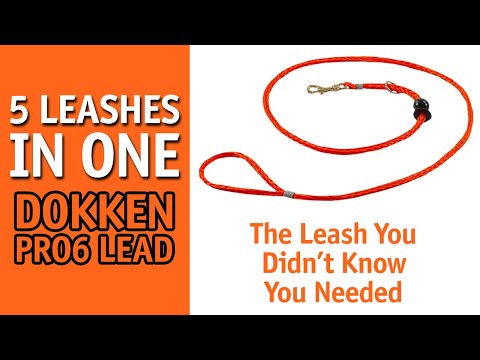 The Leash You Didn T Know You Needed 5 In 1