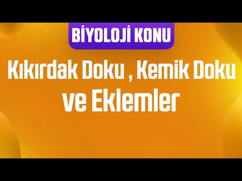 Destek ve Hareket Sistemi : Kıkırdak Doku , Kemik Doku ve Eklemler