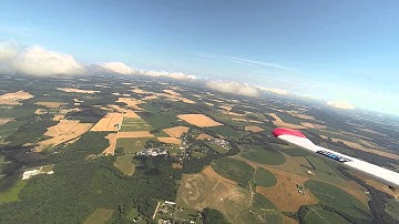 Penguin in the clouds