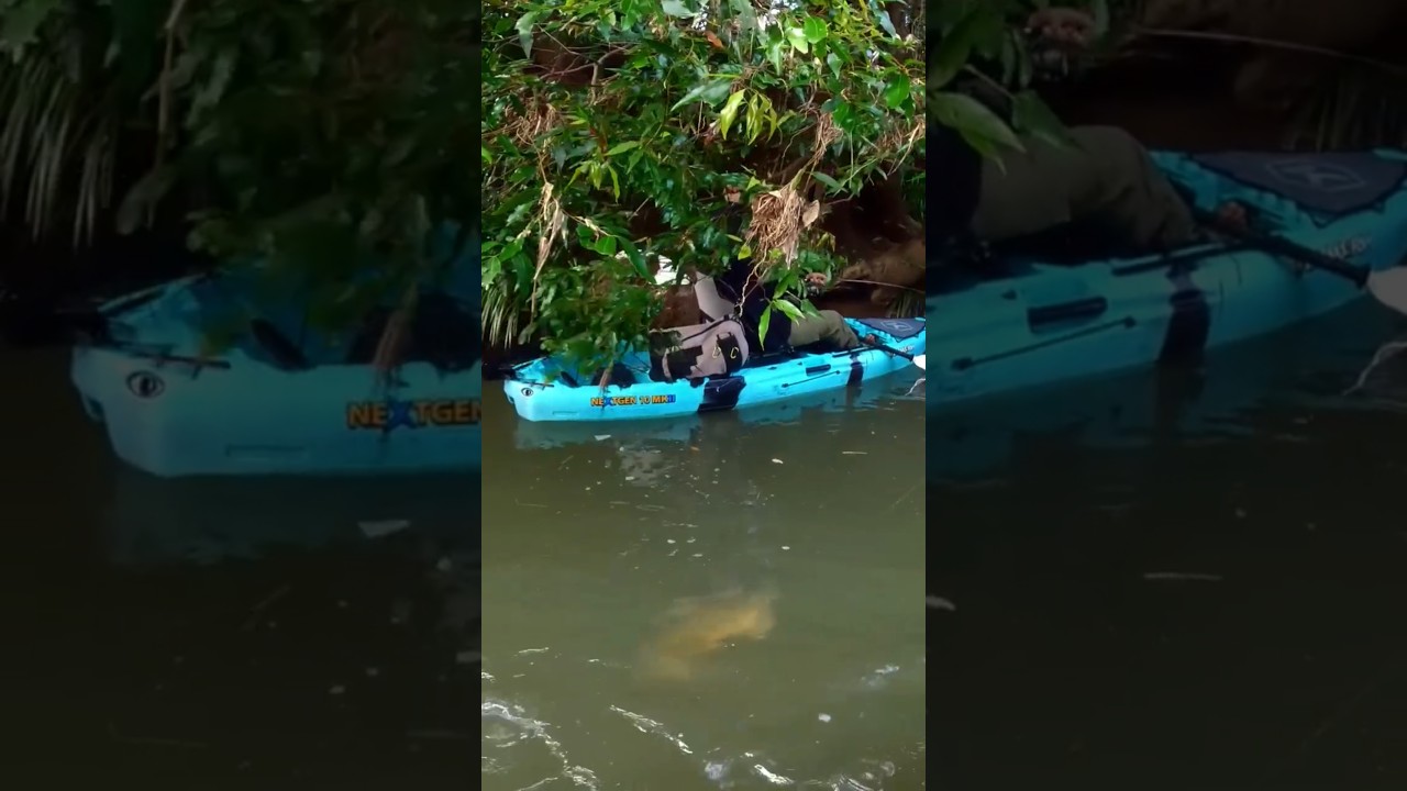 WILD ENCOUNTER WITH A CREEK UNICORN! Click the link for the full video!