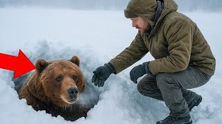 (FULL) Man Risks Everything to Save a Frozen Grizzly Bear in Montana