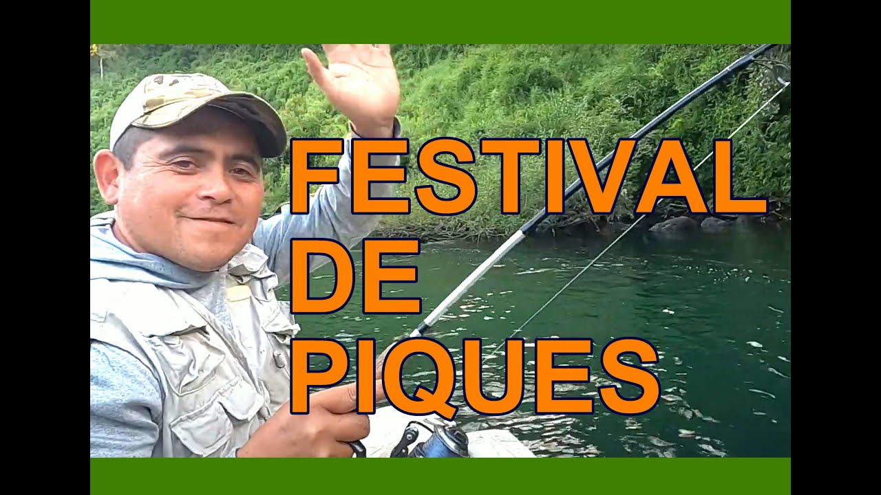 FESTIVAL DE PIQUES