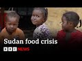 Millions face starvation in Sudan as warring factions block aid delivery | BBC News