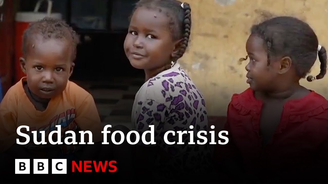 Millions face hunger in Sudan as warring factions block aid |  BBC News