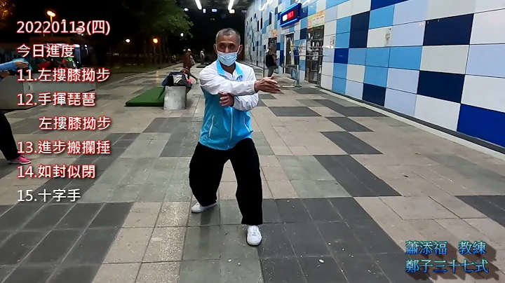 郑子太极拳37式 分段教学~三。11 左搂膝拗步，12 手挥琵琶＋左搂膝拗步，13 进步搬拦捶，14 如封似闭，15 十字手。 - 天天要闻