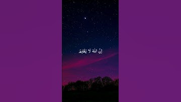 إن الله لا يظلم الناس شيئًا | تلاوة خاشعة بصوت محمد دييروف