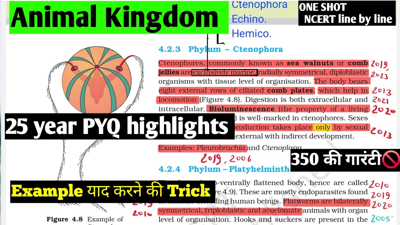 Animal Kingdom ncert line by line #one shot || All NEET pyq highlights ...