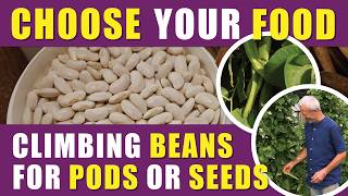 Grow Runner Beans for Fresh Pods or Seeds | Sowing, Harvest &amp; No Dig Tips