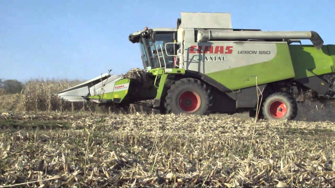 Kukorica aratás Sióagárd 2010 Lexion 550 IFA L60