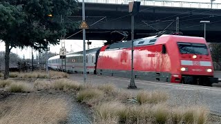 Bahnhof Hamburg-Harburg: Züge am Wildblumengarten – und ein kleiner Vergleich mit 1994