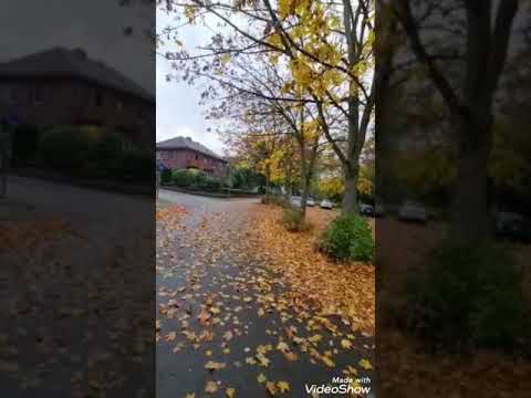 فيروز ليالي الشمال الحزينة حالات واتساب من المانيا 