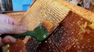SATISFYING VIDEO. Uncapping Honeycomb [sticky sounds]