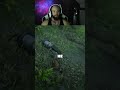 Oh Shit! Is He Alive?! #shorts