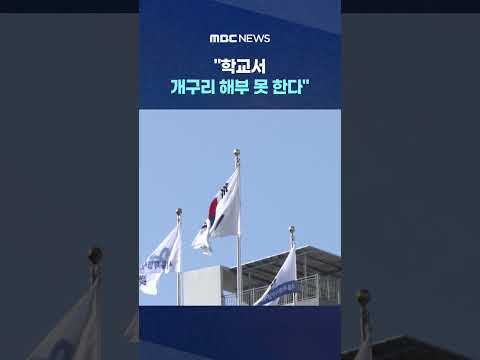 <strong>서울시교육청</strong> 동물 해부 금지 #Shorts (MBC뉴스)