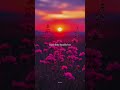 Bubble Bee -aesthetic | Lyrics|sweet little bubble bee subscribe cutie