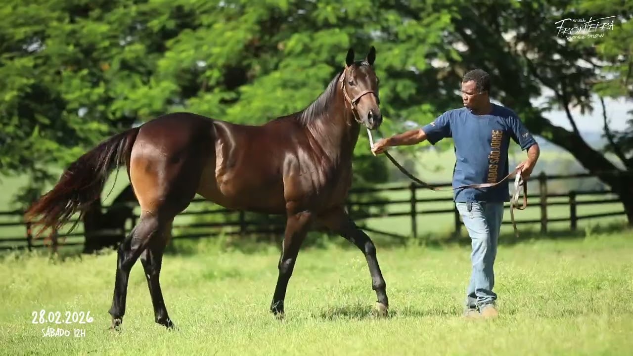 LOTE 12   JAZIDA DA ESPERANÇA