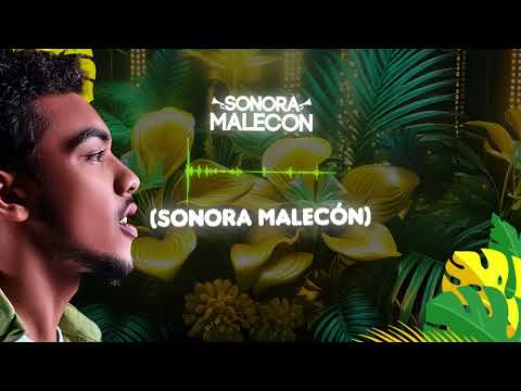La Guaracha Malecón - Sonora Malecon