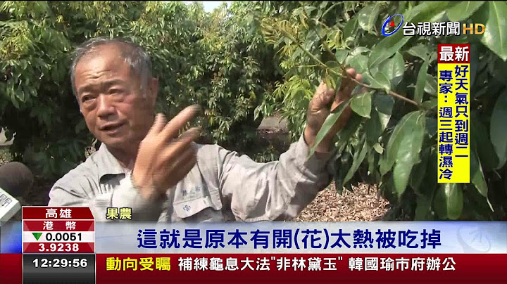 暖冬40年來最慘玉荷包開花率剩3成 - 天天要聞