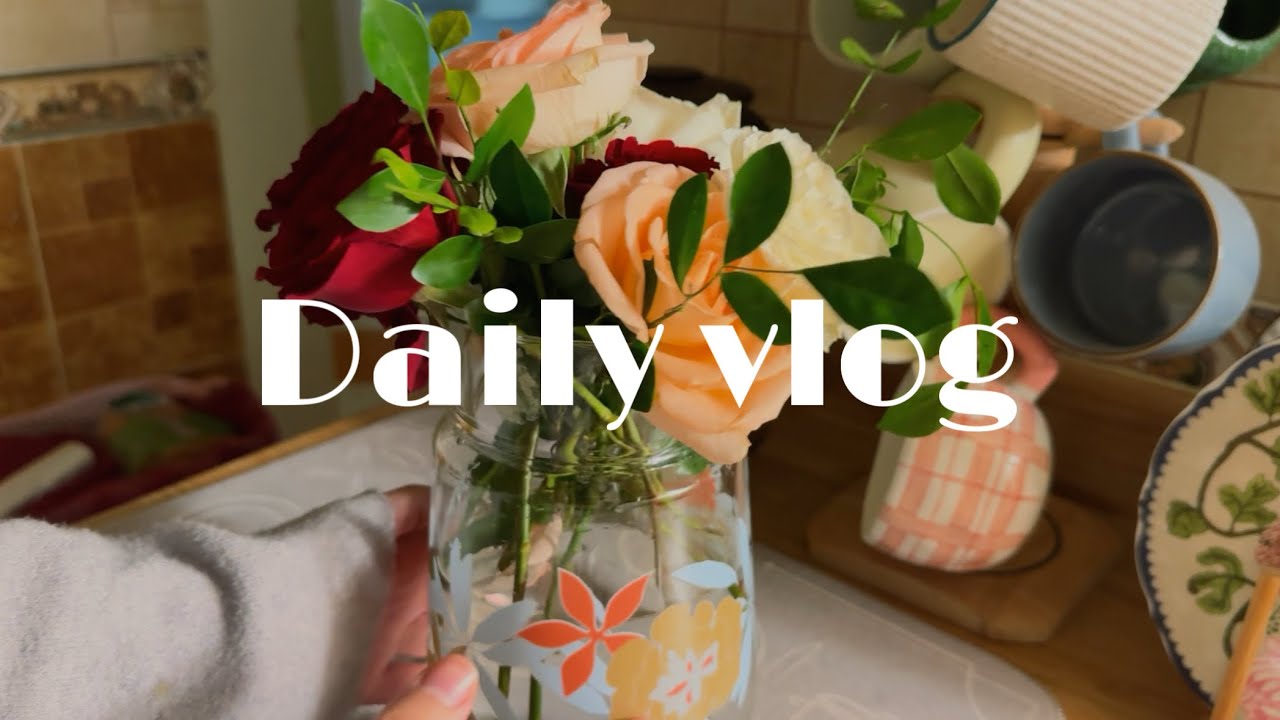 ونس - فبراير ٢٠٢٦