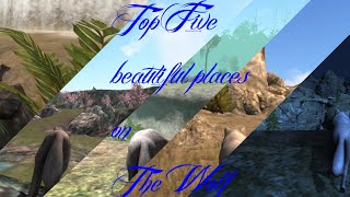 My top 5 beautiful places on The Wolf! Volume Warning!