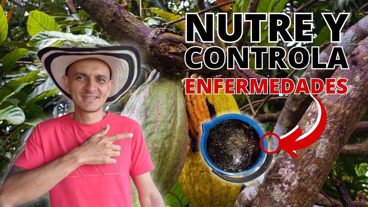 🐛 DESCUBRE El *SULFOPOTASICO* CALDO MINERAL 🛡 Que CONTROLA Insectos y Enfermedades En Tus PLANTAS💪